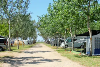 Camping Eucaliptus - image n°3 - Camping Direct