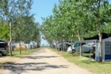 Foto #3 van Camping Eucaliptus