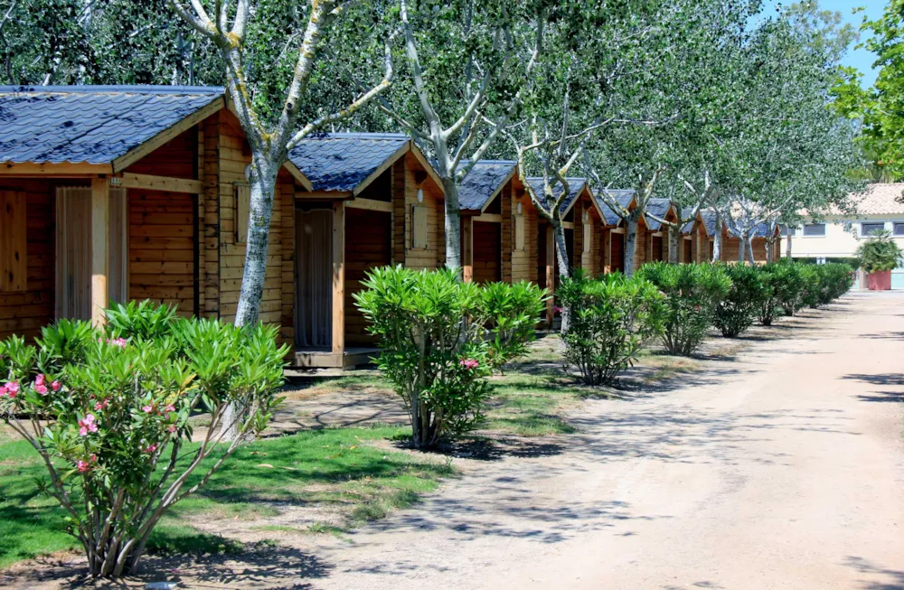 Camping Eucaliptus
