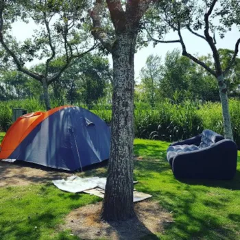 Stellplatz - Stellplatz Standard - Camping Eucaliptus