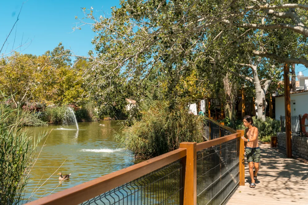 Camping Eucaliptus - image n°1 - Camping Direct