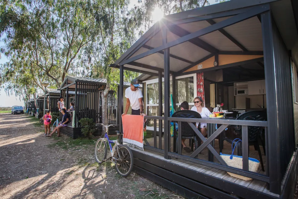 Camping Eucaliptus