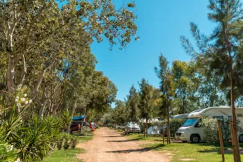Stellplatz - Stellplatz Premium / Plus - Camping Eucaliptus
