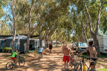 Stellplatz - Stellplatz Ausschließlich Für Wohnmobile - Camping Eucaliptus