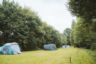 Comfort Camping pitch