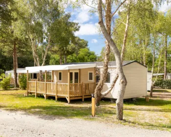 Mietunterkunft - Mobilheim Confort 28M² (2 Schlafzimmer ) + Terrasse + Tv - Flower Camping Le Vieux Moulin