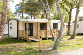 Mietunterkunft - Mobilheim Premium 40M² (3 Schlafzimmer ) + Terrasse + Tv + Geschirrspüler - Flower Camping Le Vieux Moulin