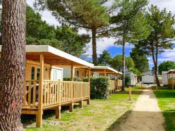 Flower Camping Le Vieux Moulin - image n°2 - Camping Direct