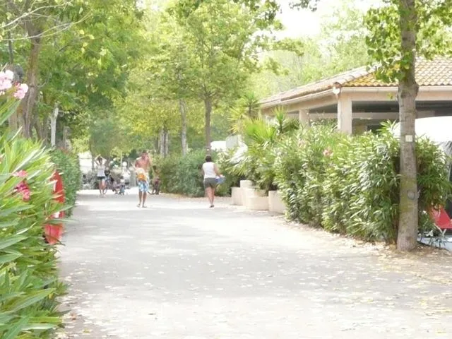 Flower Camping Le Rochelongue