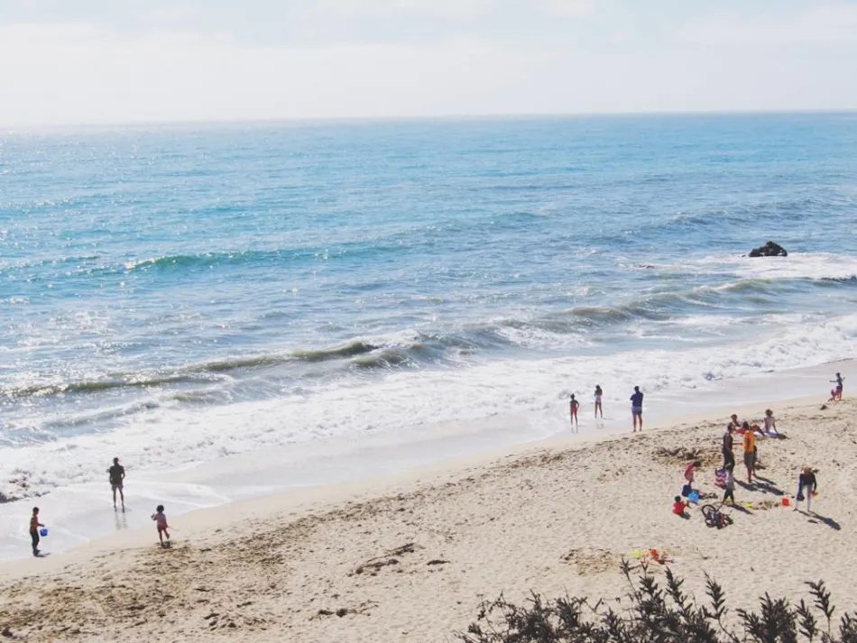 Flower Camping Le Rochelongue