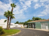 Foto #3 van Flower Camping Le Rochelongue