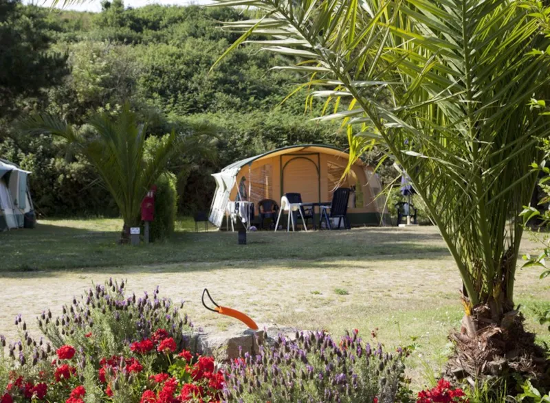 Emplacement Pour 2 Personnes Avec Électricité Et Voiture