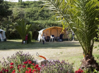 Campingpitch including 2 people, electricity and car