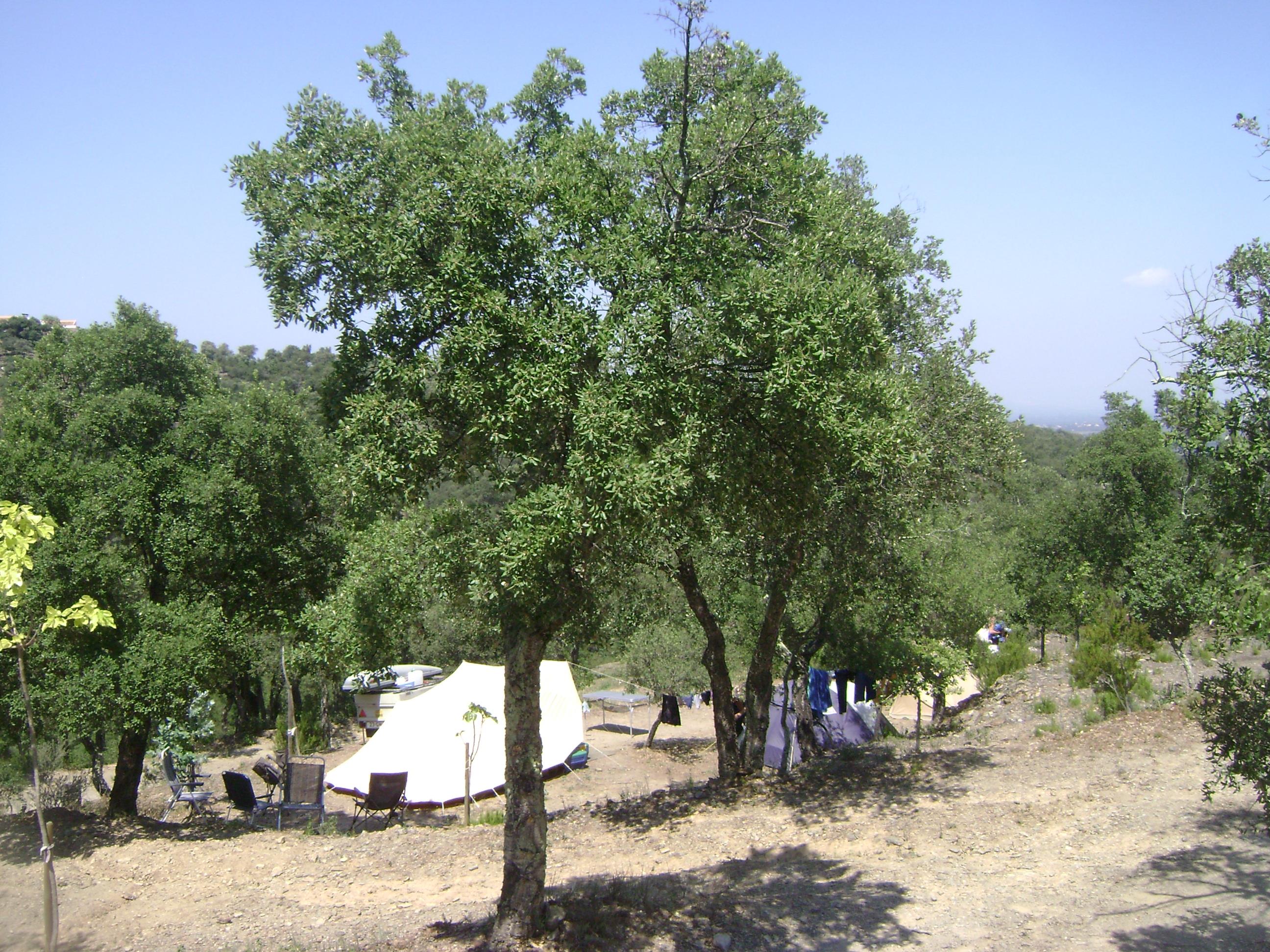 Établissement Camping Al Comu - Llauro