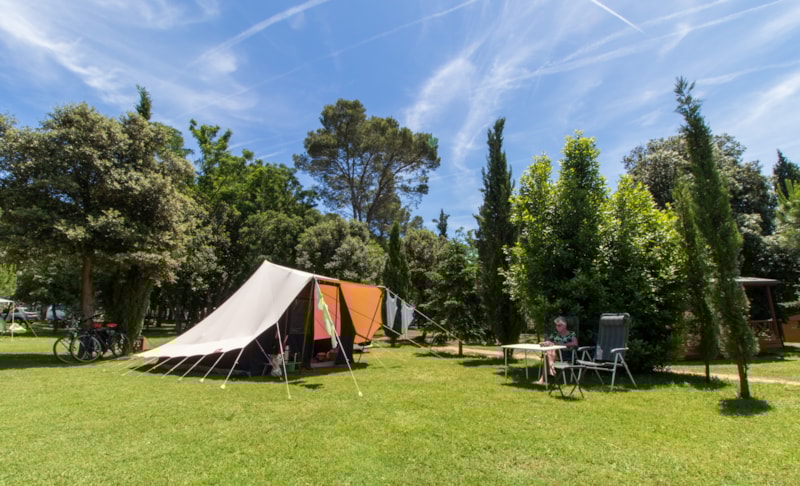 Standplaats  tent / caravan