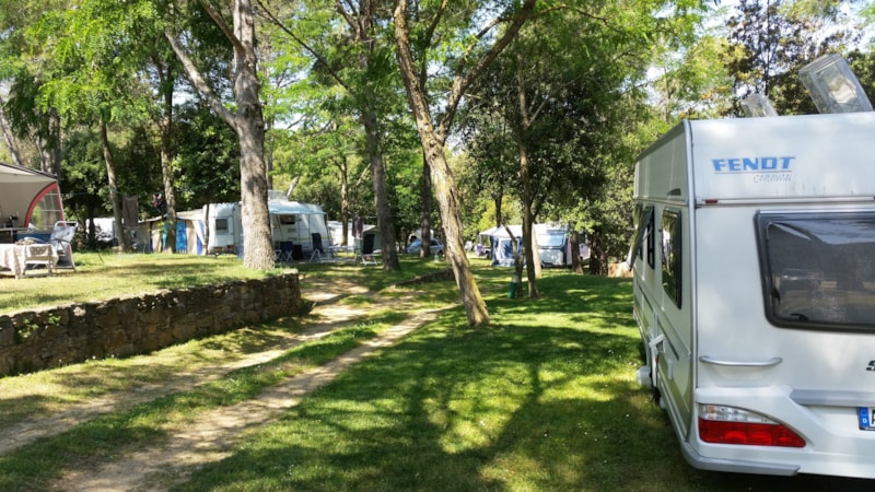 Pitch Confort motor home