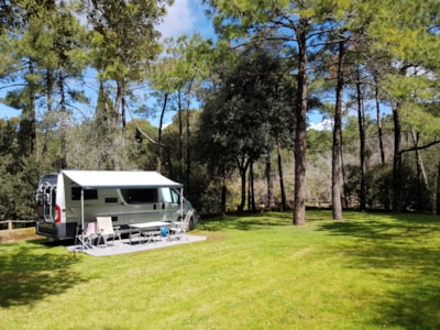 Pitch Gran Confort Motor home — 3