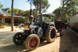 Foto #31 van Camping Begur