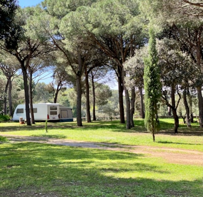 Pitch Confort motor home — 3