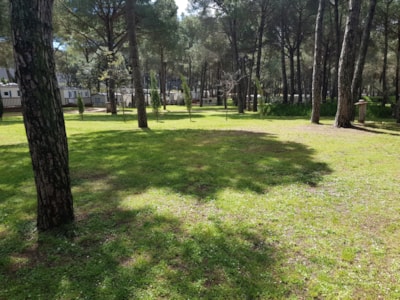 Pitch Confort motor home — 5