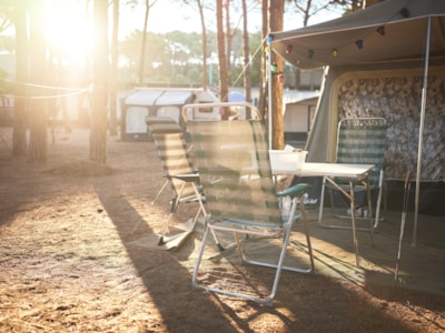 Pitch Confort tent / caravan — 3