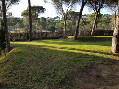 Pitch Gran Confort Motor home — 5