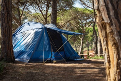 Camping Pitch — 2