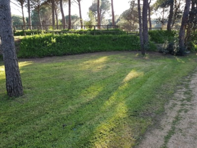 Camping Pitch — 6