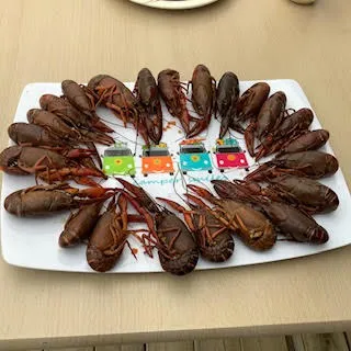 Camping **La Clé des Champs