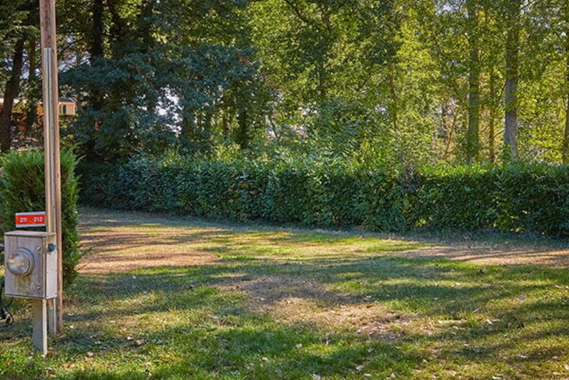 Pitch Essential | Tent and vehicle +7 m | 100-120 m² | Electricity, no water