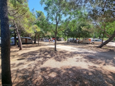 Large plot for a car + caravan, motorhome, or family tent (one person included in the price) — 8