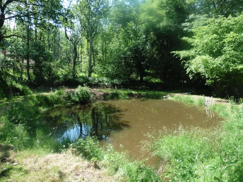 Emplacement - Véhicule