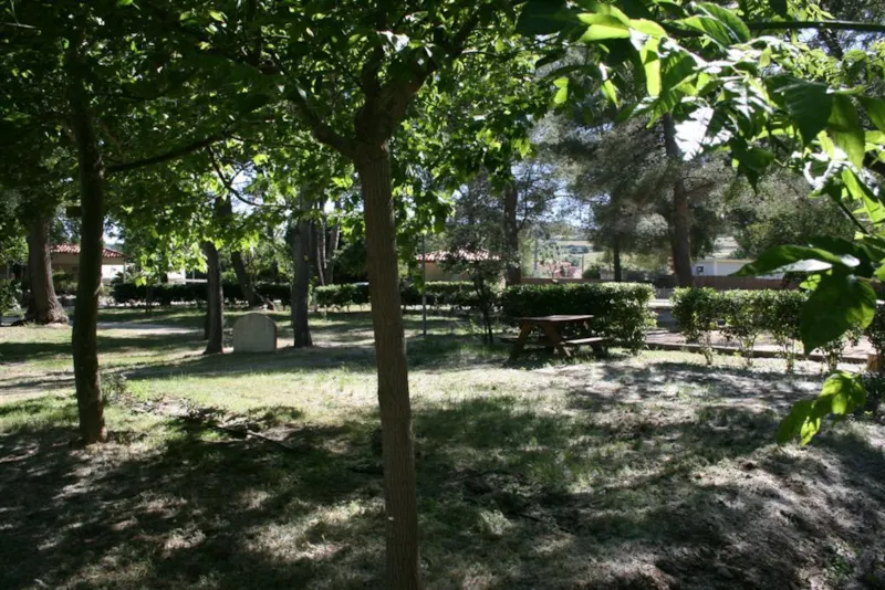 Emplacement Confort + (> 85M²) Electricité En Option