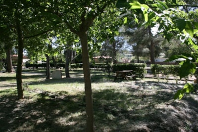 Pitch CONFORT + (> 85m²) electricity optional