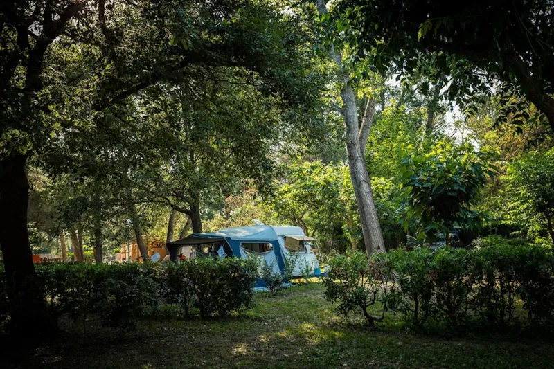 Emplacement Confort (~80 M²) Électricité En Option