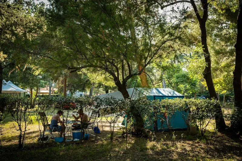 Emplacement Confort (~80 M²) Électricité En Option