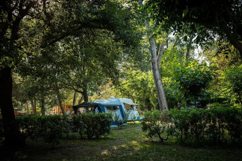 Emplacement Confort + (> 85M²) Electricité En Option