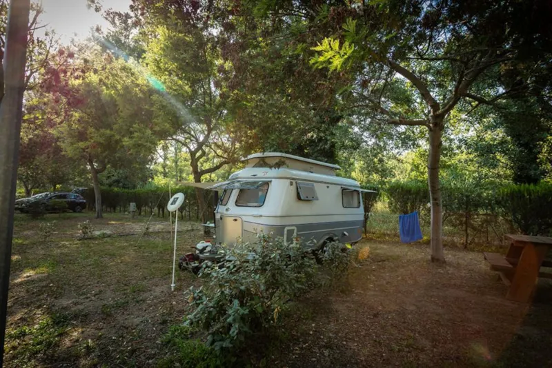 Emplacement Confort + (> 85M²) Electricité En Option