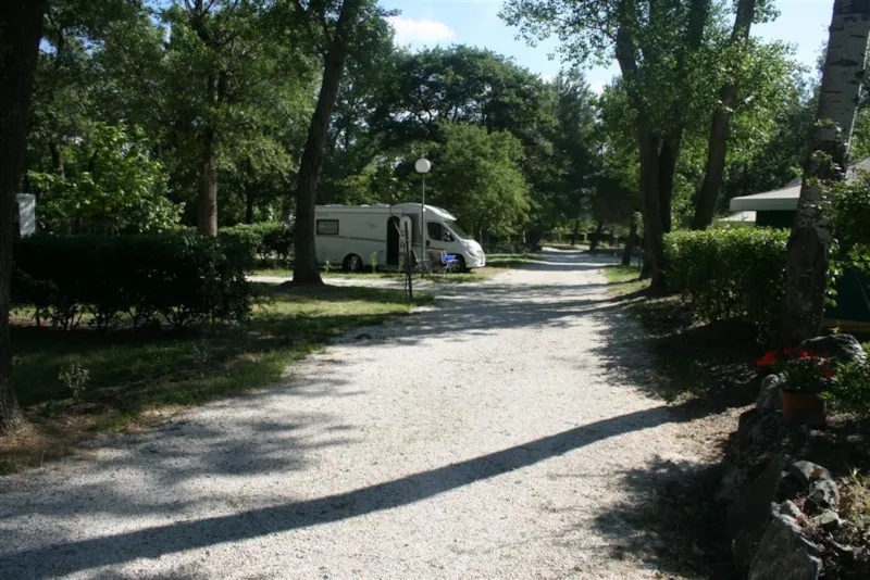 Emplacement Confort + (> 85M²) Electricité En Option