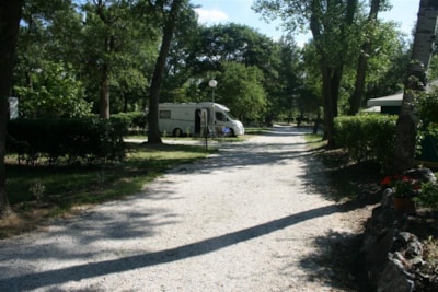 Pitch CONFORT + (> 85m²) electricity optional