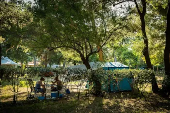 Stellplatz - Stellplatz Confort + (> 85M²) - Camping La Tour de France***