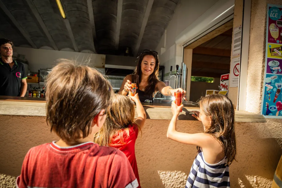 Camping La Tour de France***