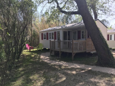 Mobilhome 2 rooms  ECO (Plancha + TV)