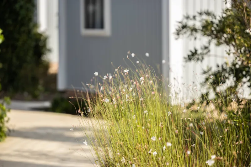 Mobil Home Tribu  +   (Clim + Plancha + Tv)