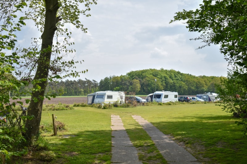 Campsite