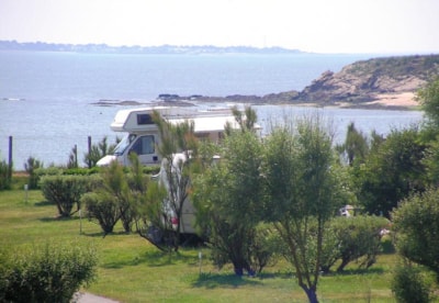 Camping pitch (Seaview) + 1 car