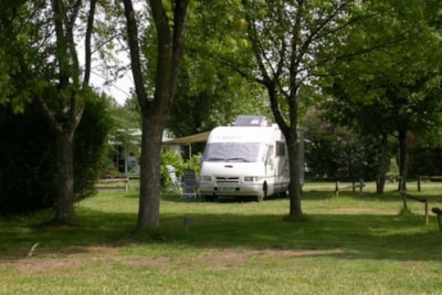 Great Comfort camping pitch