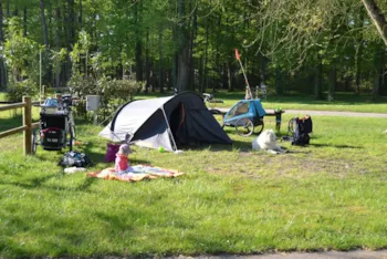 Pitch - Package B : Pitch + Car + Electricity  10 Amp - Camping La Mignardière****