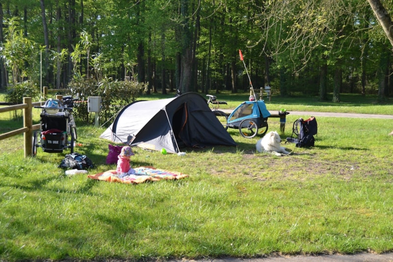 Pakket B : standplaats + auto + Elektriciteit  10 Amp