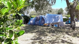 Camping Les Hortensias - image n°2 - UniversalBooking